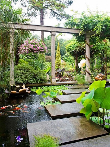 Small garden landscape