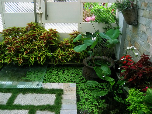 Landscape design