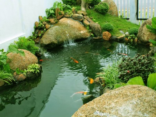 Landscape design