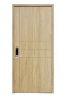 Steel door V01