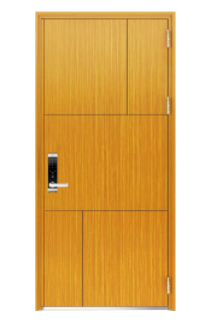 Steel door V09