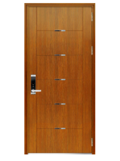 Steel door V13