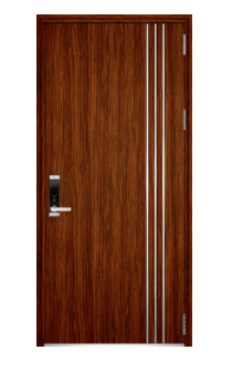 Steel door V20