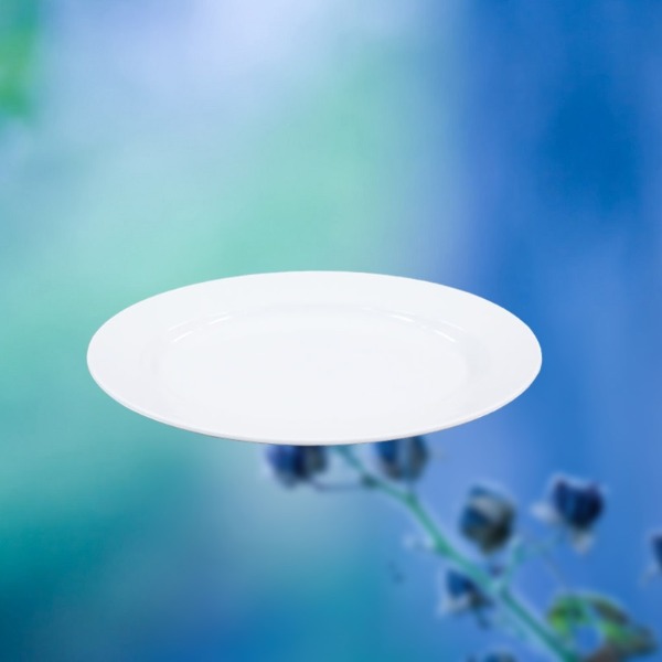 Plastic plate