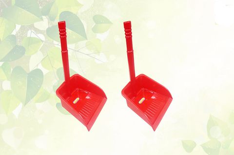 Shovel dustpan