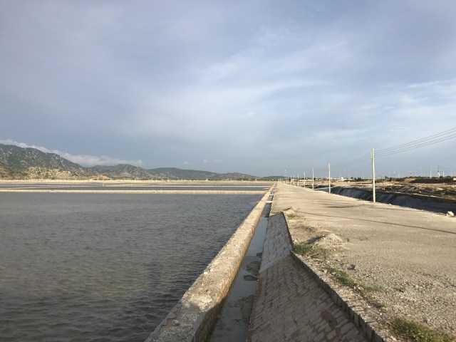 Salt Field