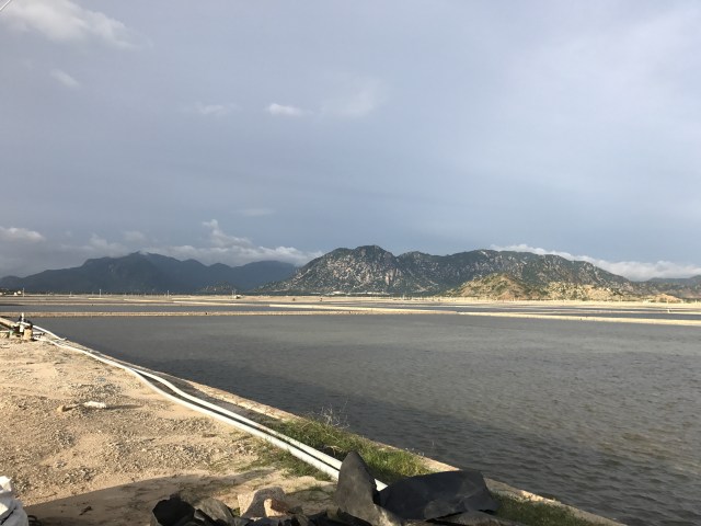 Salt Field