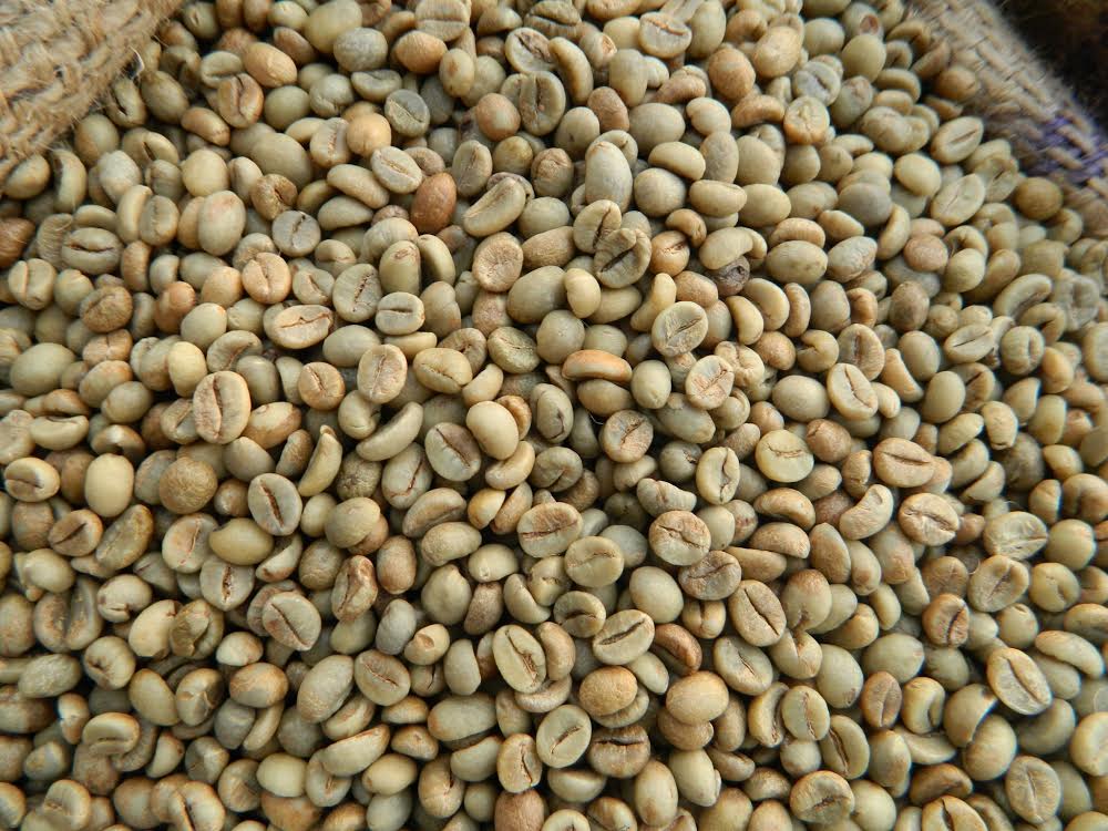 Coffee