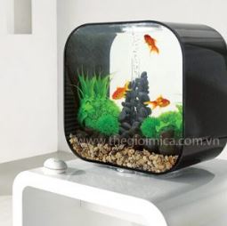 Acrylic Fish Tank