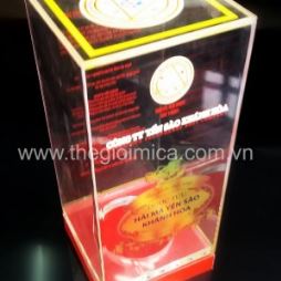 Acrylic Display Box