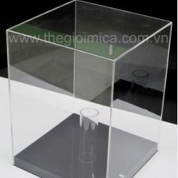 Acrylic Display Box - Phil Industries Pte Ltd