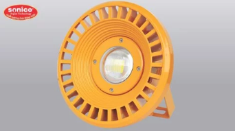 Explosion-proof light