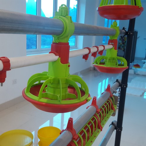 Automatic Feeding System