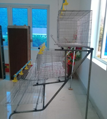 3 Single Floor Poultry Cage System