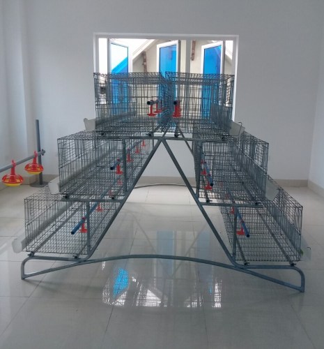 2-Floor Poultry Cage System