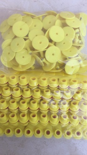 Ear tags for pig