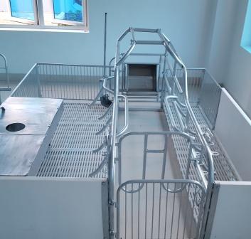 Farrowing stall