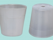 Pot
