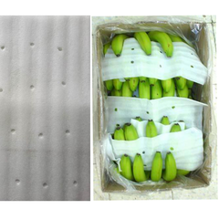 PE foam sheet