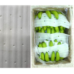 PE foam sheet