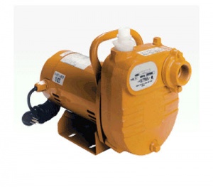 Sewage sludge pump