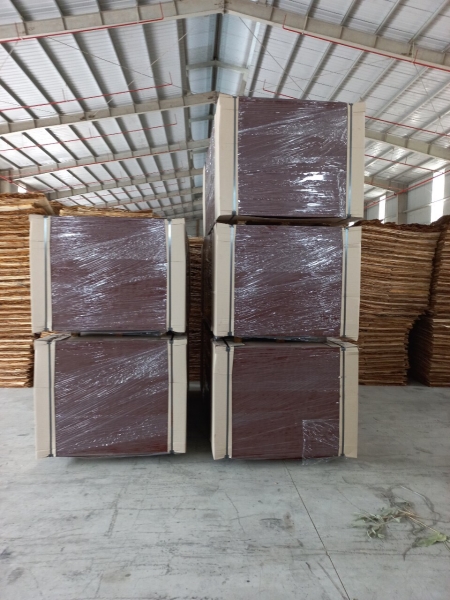 Film face Plywood