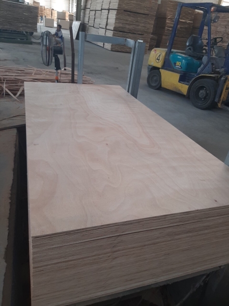 Okume veneer - N1