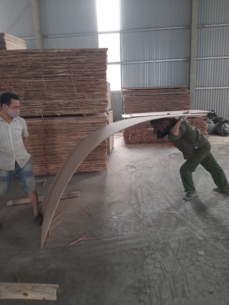 Bending Ply - N1
