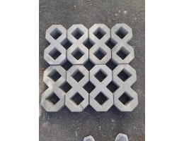 Grass block pavers