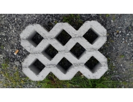 Grass block pavers