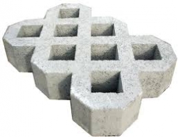 Grass block pavers