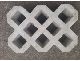 Grass block pavers
