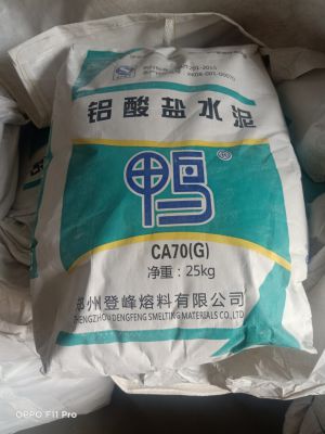 Heat resistant cement