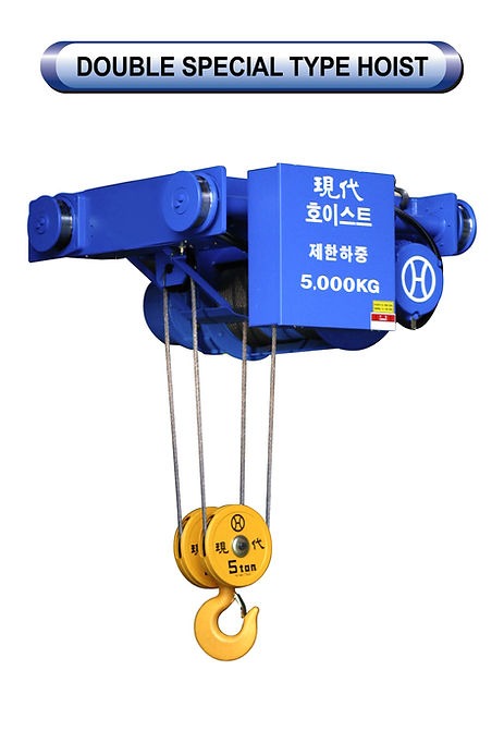 Hyundai hoist
