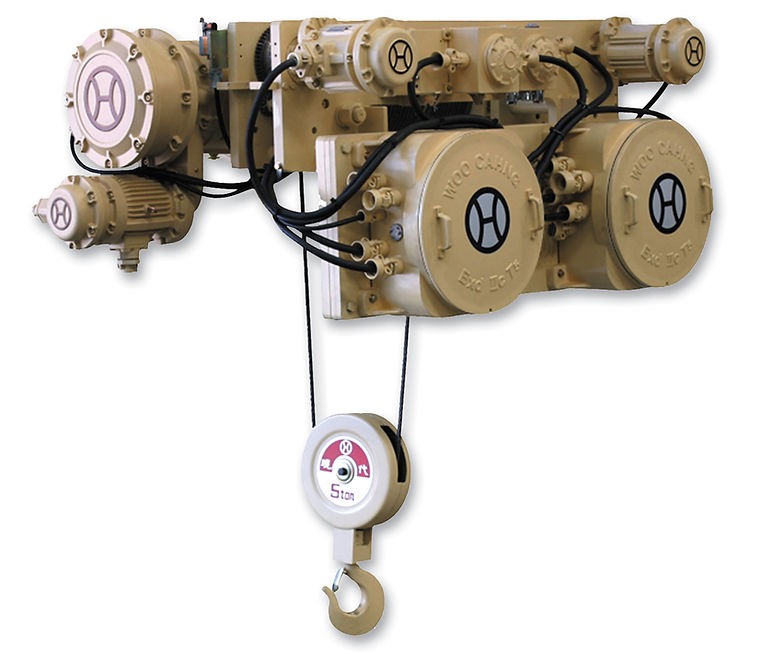 Hyundai hoist