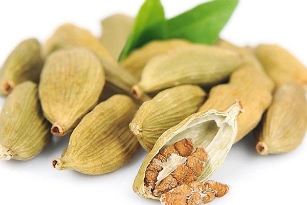 Cardamom