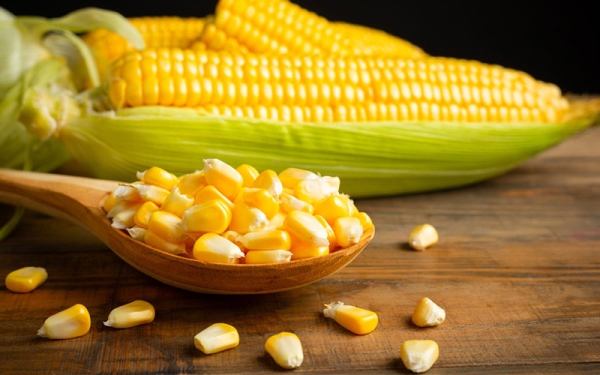 Corn