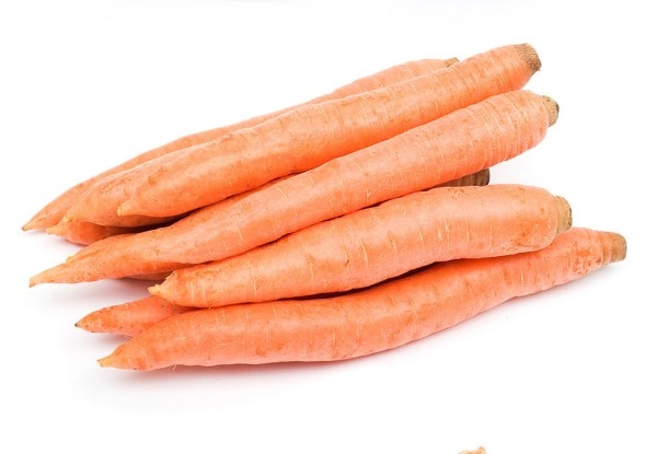 Carrot