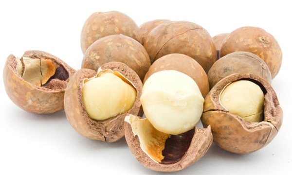 Macadamia Nuts