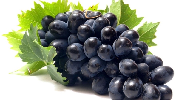 Grapes