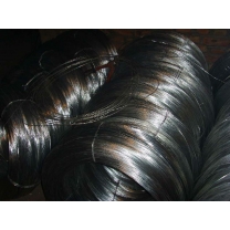 Carbon absorbent