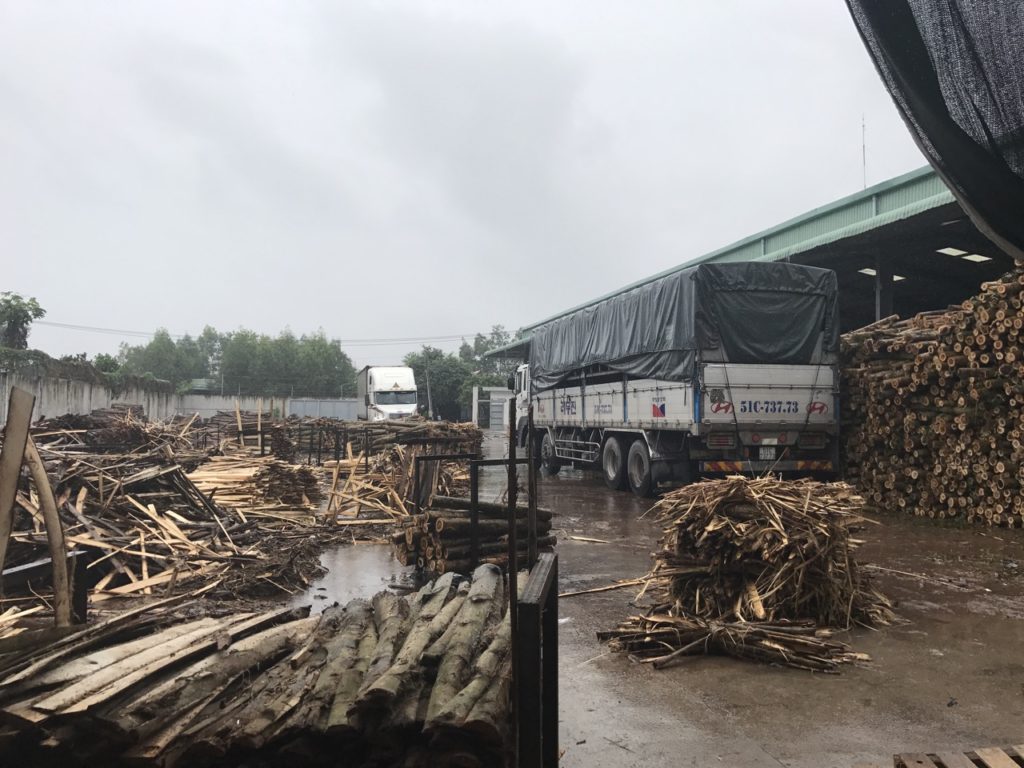 Melaleuca sawn timbers