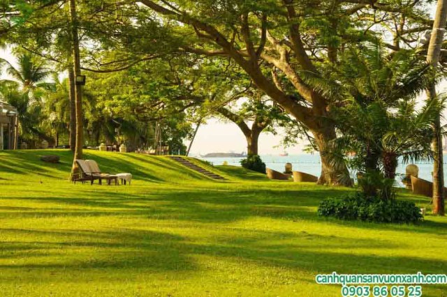 Landscape construction & design