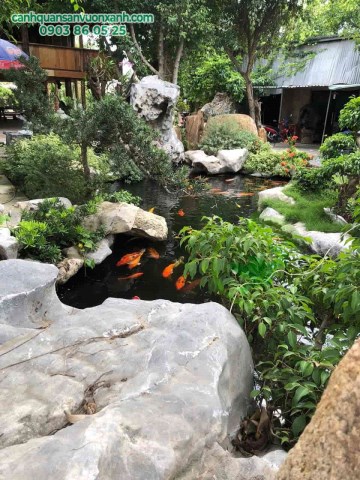 Koi fish pond design & construction