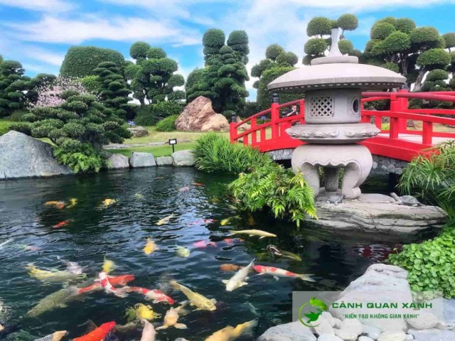 Koi fish pond design & construction