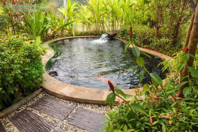 Koi fish pond design & construction