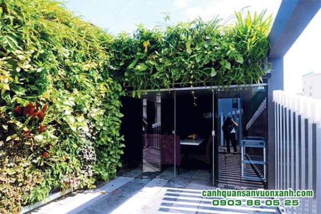 Vertical garden landscape design & construction
