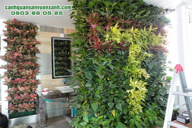 Vertical garden landscape design & construction