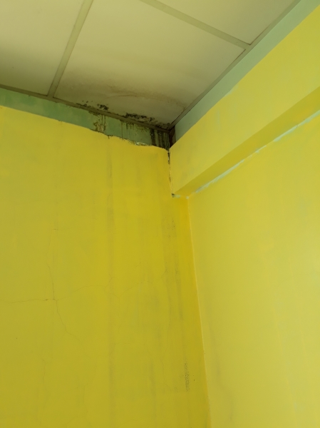 Waterproofing Construction