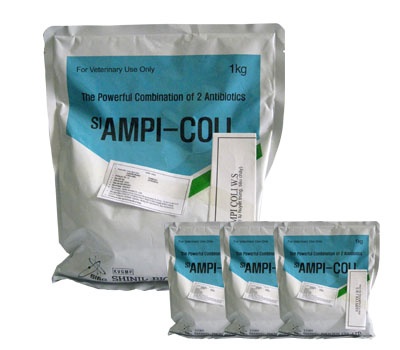 Veterinary Medicine Packaging